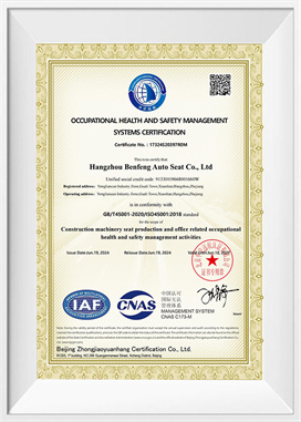 Sistema ng pamamahala sa kalusugan at kaligtasan-EN